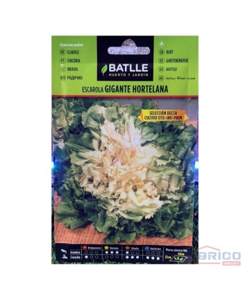 Endives géantes végétales...
