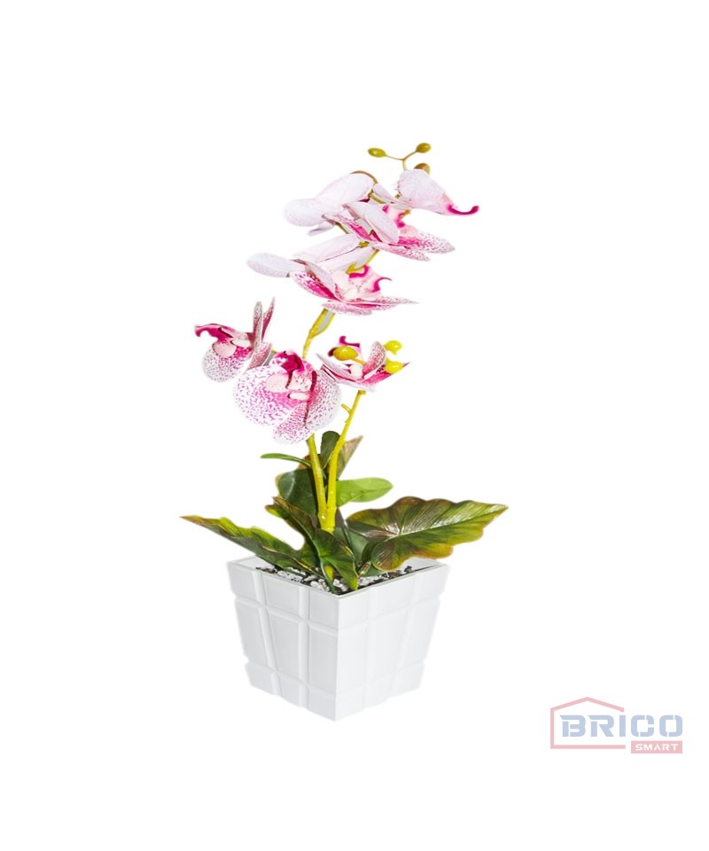 Pot orchidée en plastique (10.5 cm)