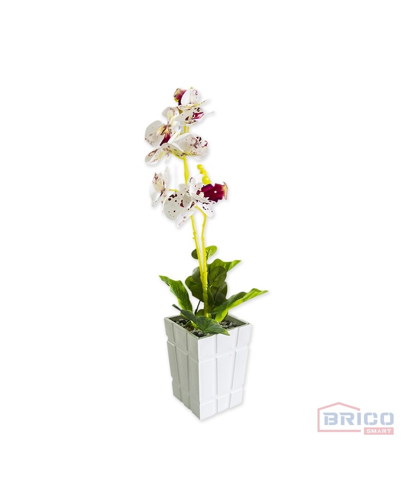 Pot orchidée en plastique (10.5 cm)