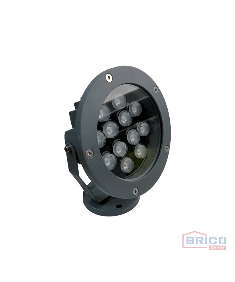 Projecteur Jardin LED 12W Couleur de la lumière 6500K