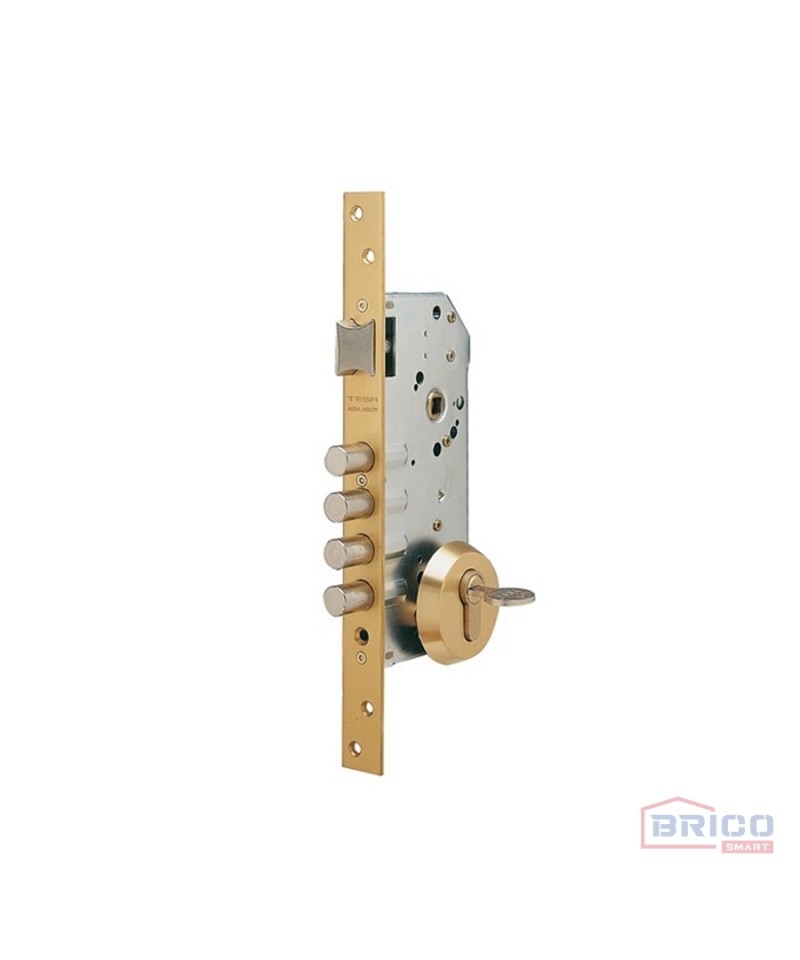 Verrou de sûreté en applique pour porte en bois - 3 pênes - aluminium TESA  Sécurité