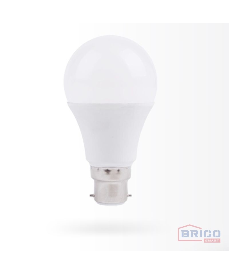 Lampe led A60 9W - 6500k Culot E27