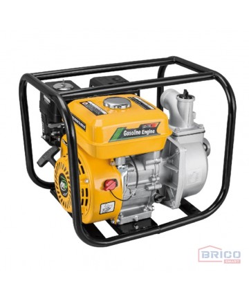 Moto-Pompe à Essence 3" FERRI