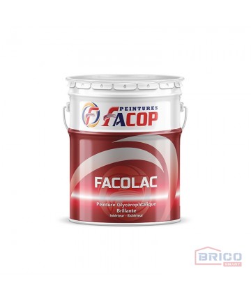 Facolac peinture 20Kg