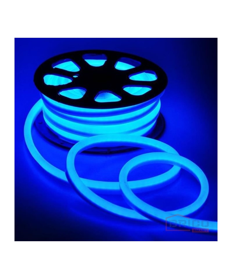 Ruban LED bleu 220v rouleau de 1 à 50 mètres